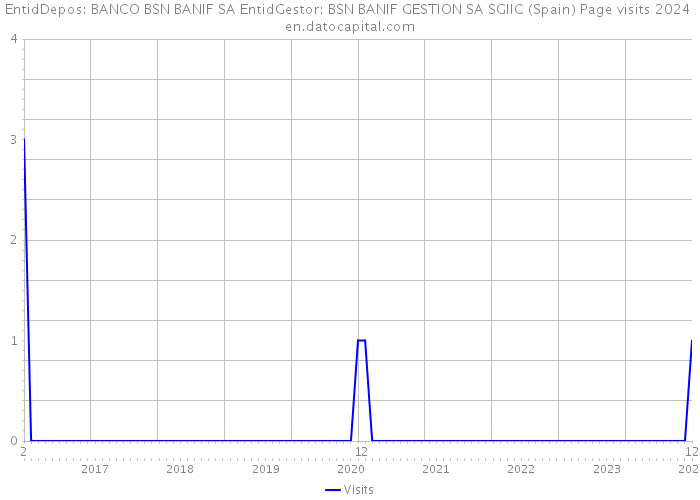 EntidDepos: BANCO BSN BANIF SA EntidGestor: BSN BANIF GESTION SA SGIIC (Spain) Page visits 2024 
