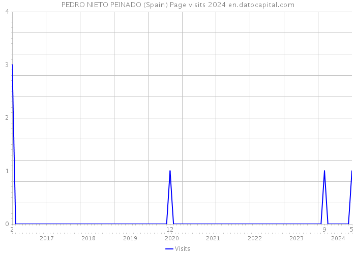 PEDRO NIETO PEINADO (Spain) Page visits 2024 