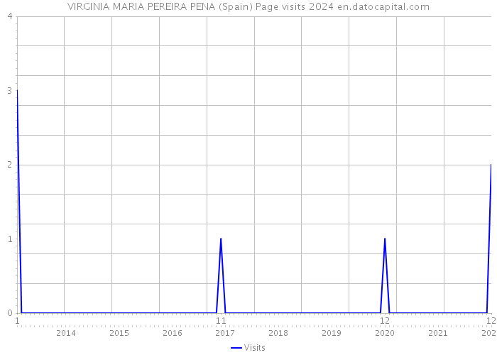 VIRGINIA MARIA PEREIRA PENA (Spain) Page visits 2024 