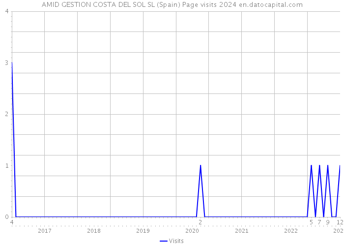 AMID GESTION COSTA DEL SOL SL (Spain) Page visits 2024 