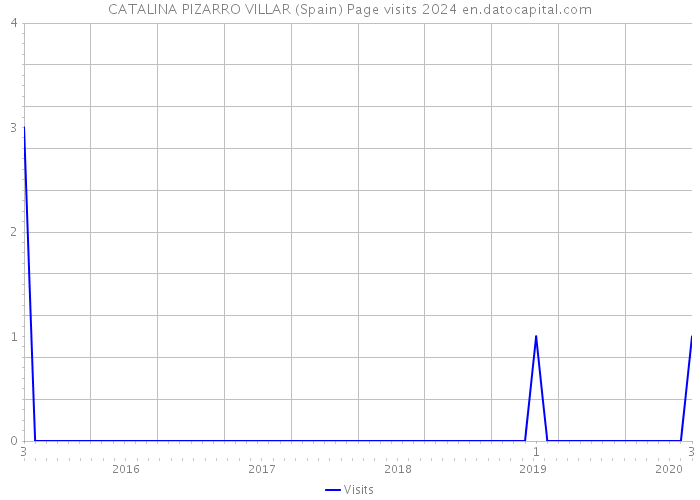 CATALINA PIZARRO VILLAR (Spain) Page visits 2024 