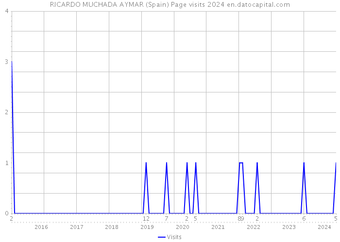 RICARDO MUCHADA AYMAR (Spain) Page visits 2024 