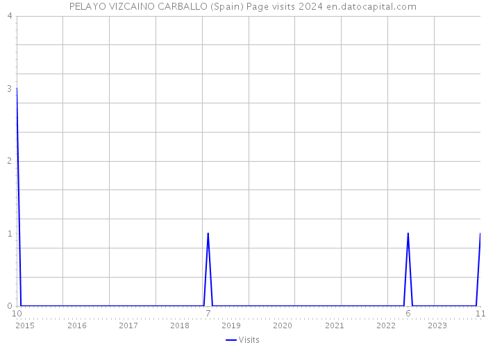 PELAYO VIZCAINO CARBALLO (Spain) Page visits 2024 