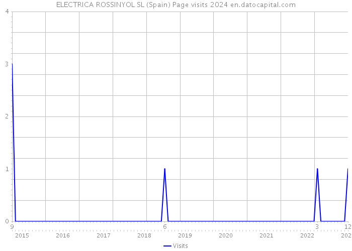 ELECTRICA ROSSINYOL SL (Spain) Page visits 2024 