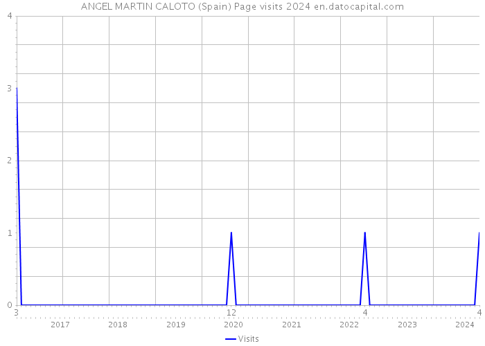 ANGEL MARTIN CALOTO (Spain) Page visits 2024 