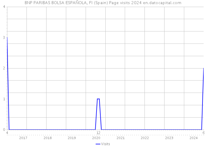 BNP PARIBAS BOLSA ESPAÑOLA, FI (Spain) Page visits 2024 