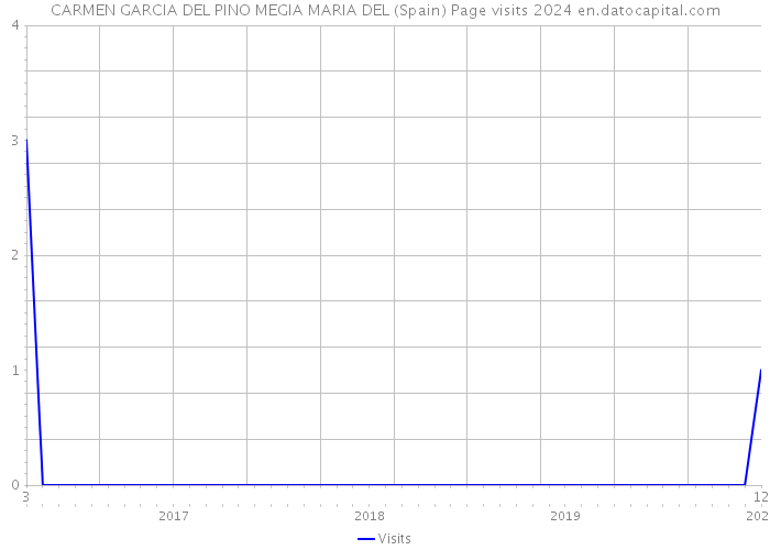 CARMEN GARCIA DEL PINO MEGIA MARIA DEL (Spain) Page visits 2024 