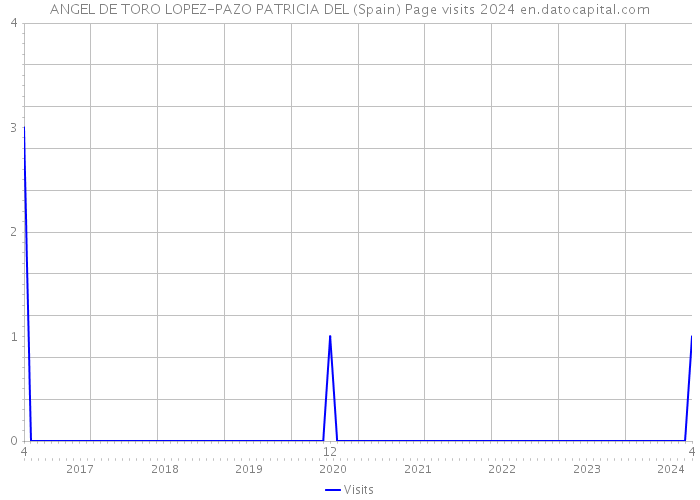 ANGEL DE TORO LOPEZ-PAZO PATRICIA DEL (Spain) Page visits 2024 