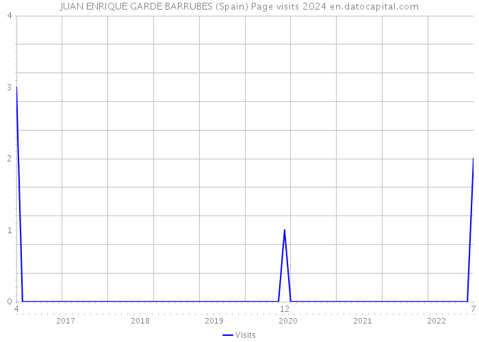 JUAN ENRIQUE GARDE BARRUBES (Spain) Page visits 2024 
