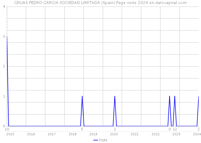 GRUAS PEDRO GARCIA SOCIEDAD LIMITADA (Spain) Page visits 2024 