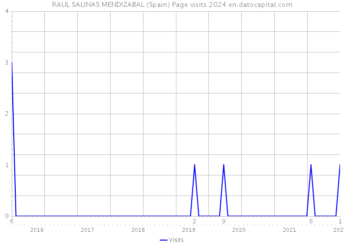RAUL SALINAS MENDIZABAL (Spain) Page visits 2024 