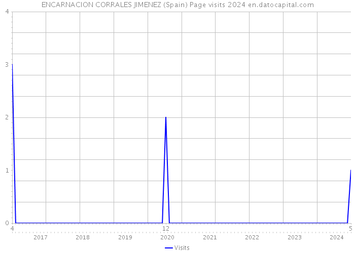 ENCARNACION CORRALES JIMENEZ (Spain) Page visits 2024 