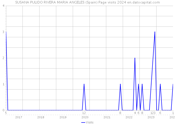 SUSANA PULIDO RIVERA MARIA ANGELES (Spain) Page visits 2024 