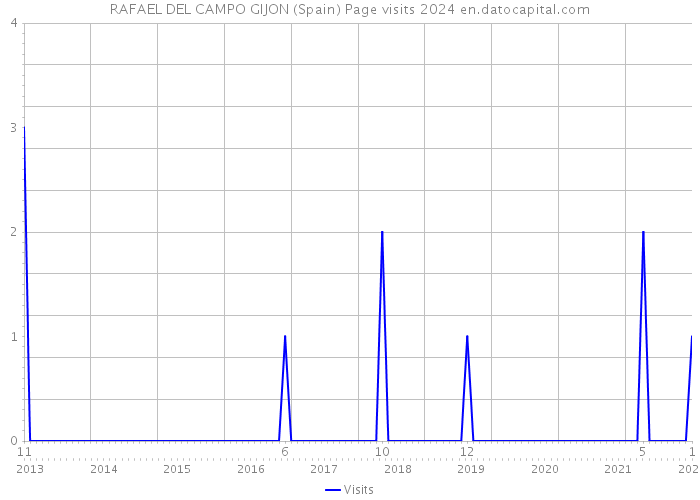 RAFAEL DEL CAMPO GIJON (Spain) Page visits 2024 
