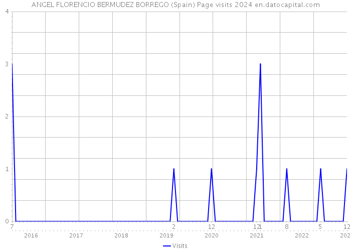 ANGEL FLORENCIO BERMUDEZ BORREGO (Spain) Page visits 2024 