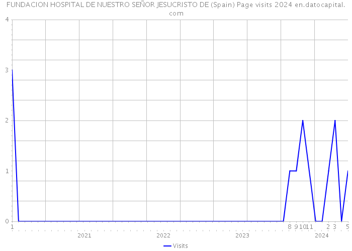FUNDACION HOSPITAL DE NUESTRO SEÑOR JESUCRISTO DE (Spain) Page visits 2024 