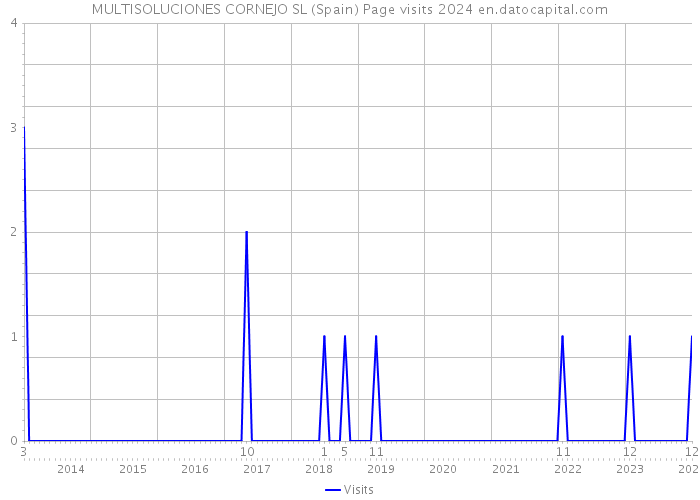 MULTISOLUCIONES CORNEJO SL (Spain) Page visits 2024 