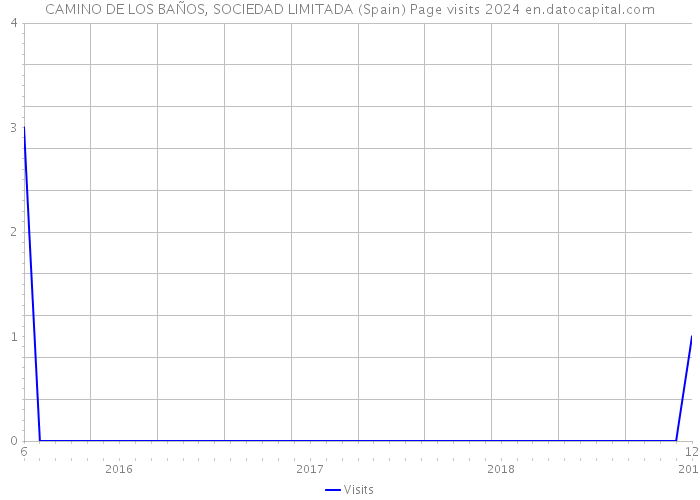 CAMINO DE LOS BAÑOS, SOCIEDAD LIMITADA (Spain) Page visits 2024 