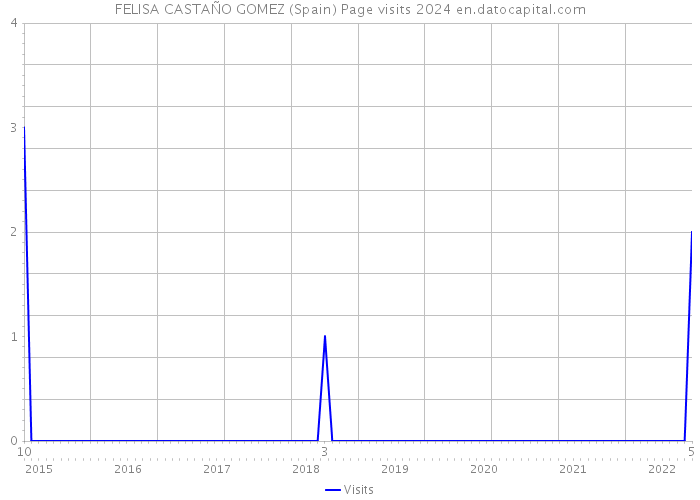 FELISA CASTAÑO GOMEZ (Spain) Page visits 2024 