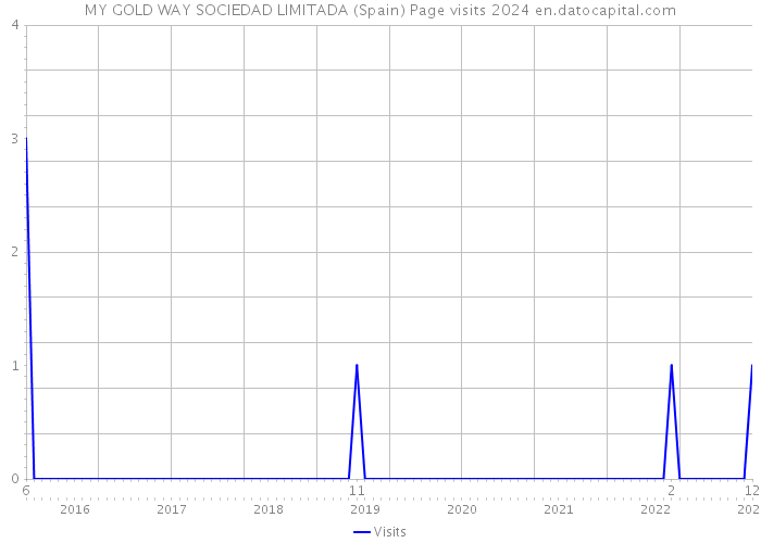 MY GOLD WAY SOCIEDAD LIMITADA (Spain) Page visits 2024 