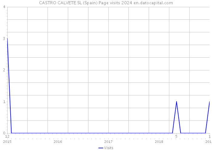 CASTRO CALVETE SL (Spain) Page visits 2024 