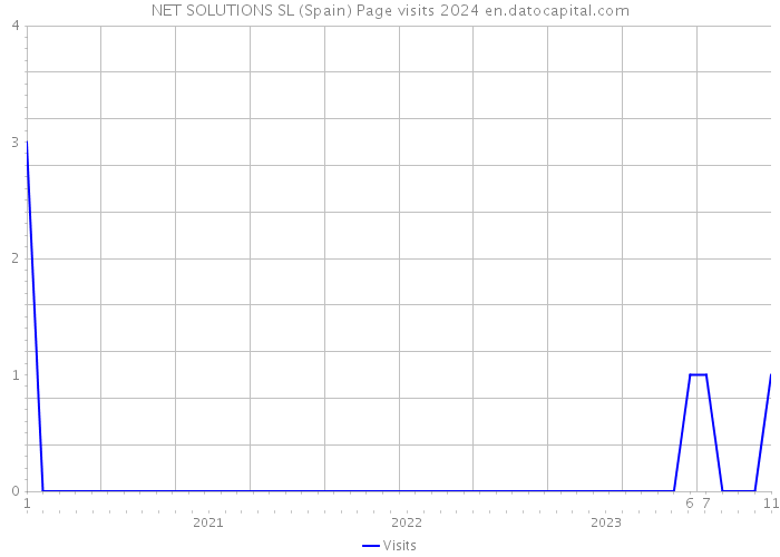 NET SOLUTIONS SL (Spain) Page visits 2024 