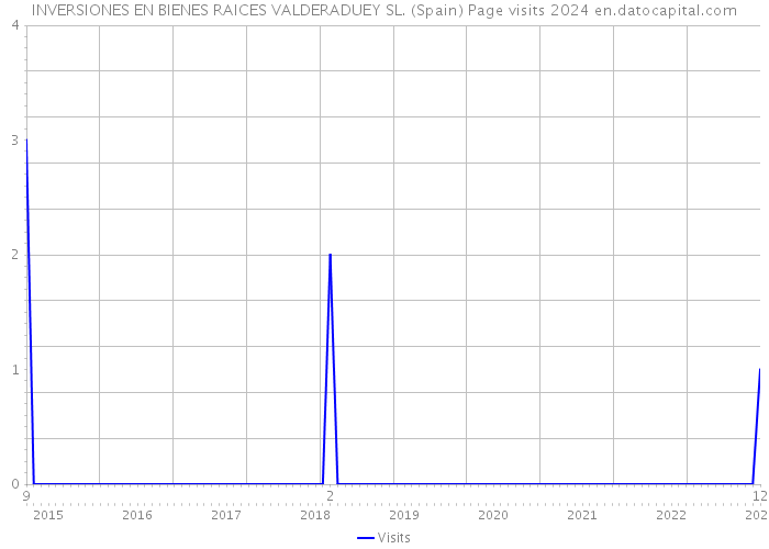 INVERSIONES EN BIENES RAICES VALDERADUEY SL. (Spain) Page visits 2024 