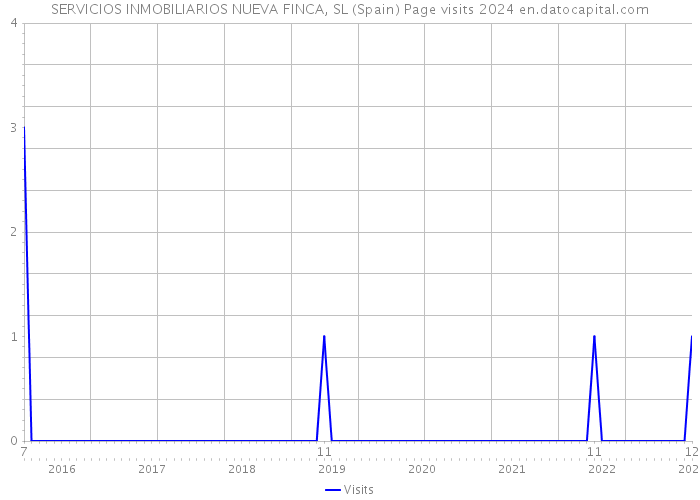 SERVICIOS INMOBILIARIOS NUEVA FINCA, SL (Spain) Page visits 2024 