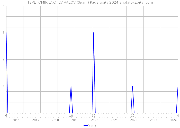 TSVETOMIR ENCHEV VALOV (Spain) Page visits 2024 