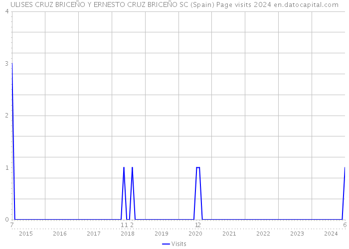 ULISES CRUZ BRICEÑO Y ERNESTO CRUZ BRICEÑO SC (Spain) Page visits 2024 