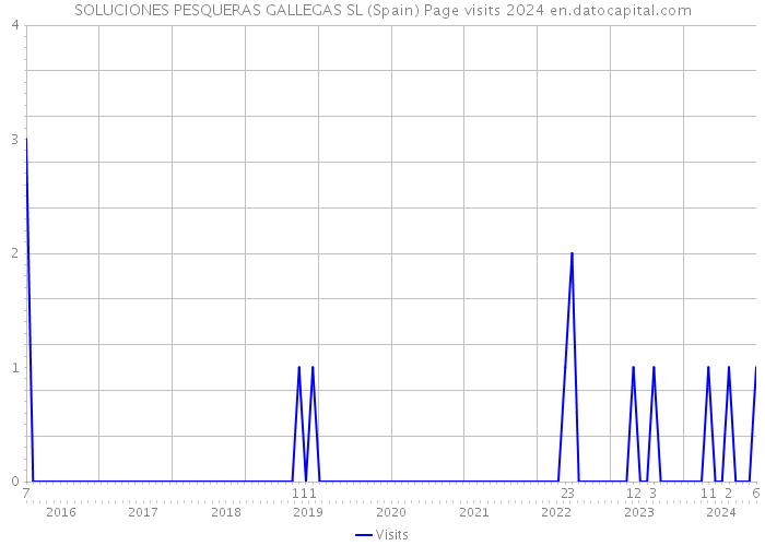 SOLUCIONES PESQUERAS GALLEGAS SL (Spain) Page visits 2024 