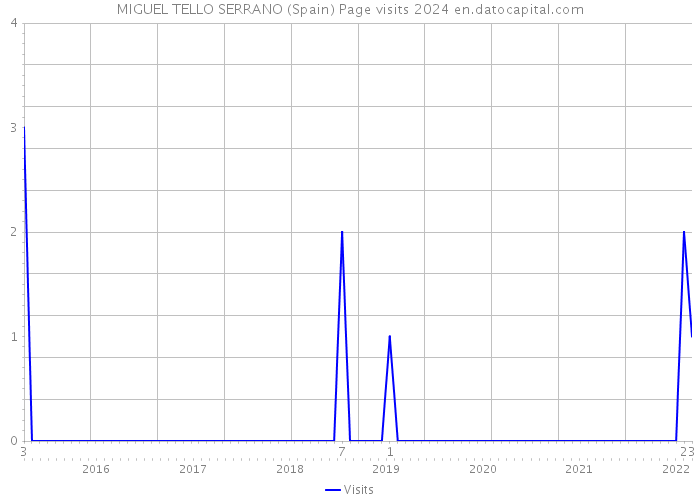 MIGUEL TELLO SERRANO (Spain) Page visits 2024 
