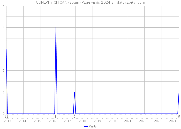 GUNERI YIGITCAN (Spain) Page visits 2024 