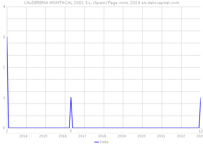 CALDERERIA MONTACAL 2001 S.L. (Spain) Page visits 2024 