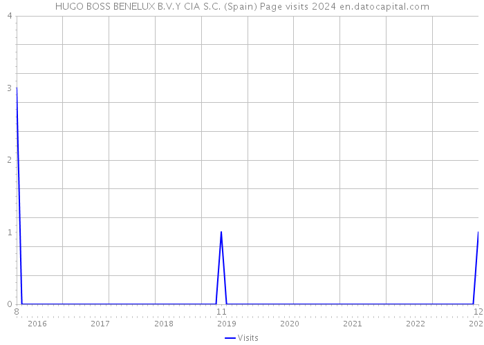 HUGO BOSS BENELUX B.V.Y CIA S.C. (Spain) Page visits 2024 