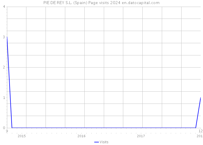 PIE DE REY S.L. (Spain) Page visits 2024 