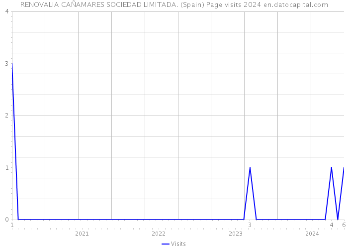 RENOVALIA CAÑAMARES SOCIEDAD LIMITADA. (Spain) Page visits 2024 