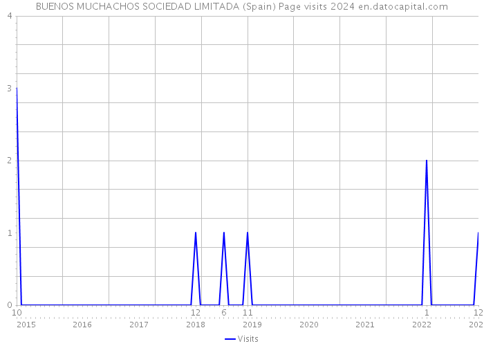 BUENOS MUCHACHOS SOCIEDAD LIMITADA (Spain) Page visits 2024 
