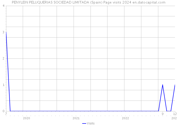 PENYLEIN PELUQUERIAS SOCIEDAD LIMITADA (Spain) Page visits 2024 