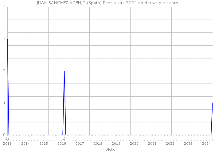 JUAN SANCHEZ AGENJO (Spain) Page visits 2024 