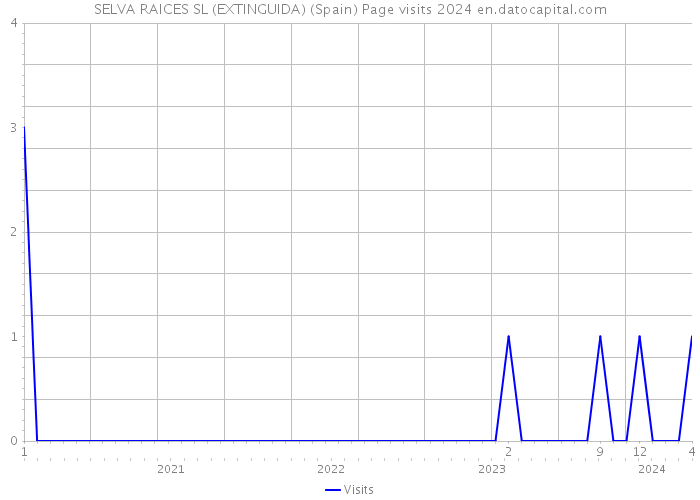 SELVA RAICES SL (EXTINGUIDA) (Spain) Page visits 2024 