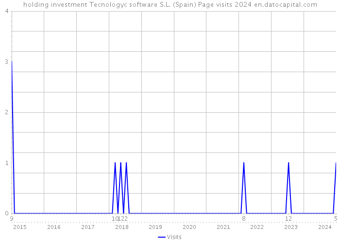 holding investment Tecnologyc software S.L. (Spain) Page visits 2024 