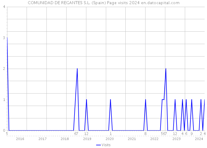 COMUNIDAD DE REGANTES S.L. (Spain) Page visits 2024 