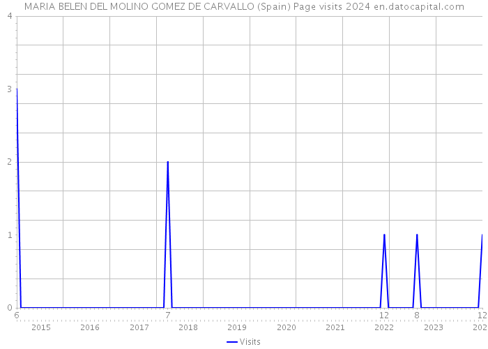 MARIA BELEN DEL MOLINO GOMEZ DE CARVALLO (Spain) Page visits 2024 