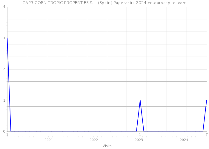 CAPRICORN TROPIC PROPERTIES S.L. (Spain) Page visits 2024 