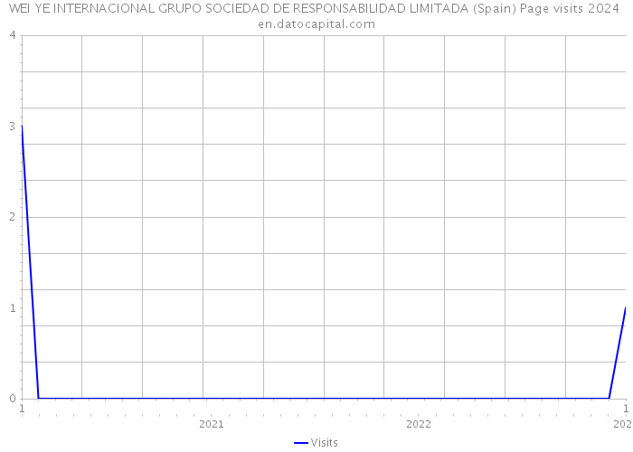 WEI YE INTERNACIONAL GRUPO SOCIEDAD DE RESPONSABILIDAD LIMITADA (Spain) Page visits 2024 