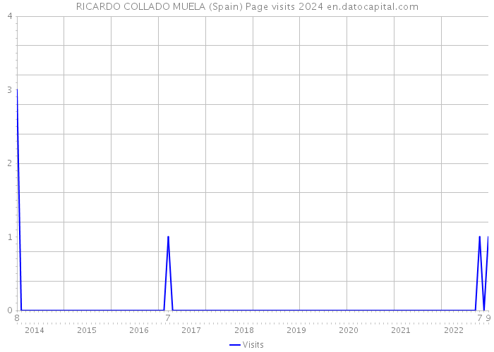 RICARDO COLLADO MUELA (Spain) Page visits 2024 