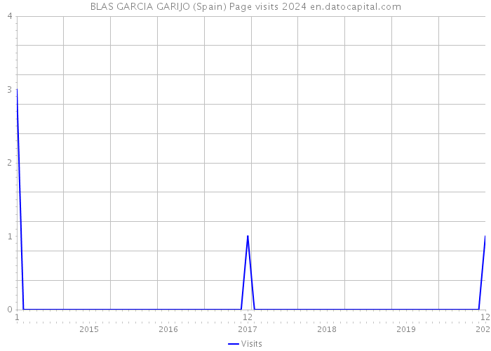 BLAS GARCIA GARIJO (Spain) Page visits 2024 