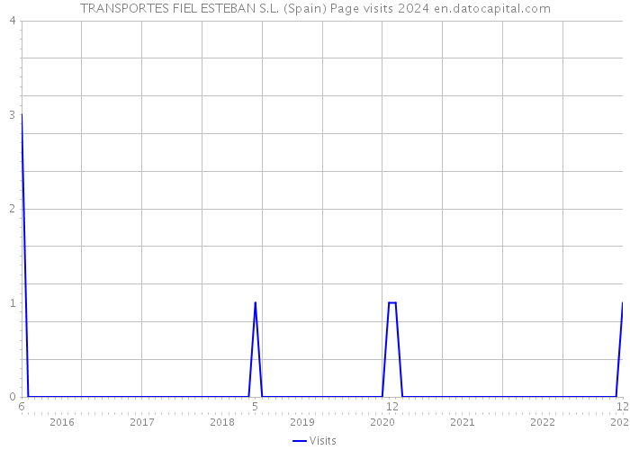 TRANSPORTES FIEL ESTEBAN S.L. (Spain) Page visits 2024 