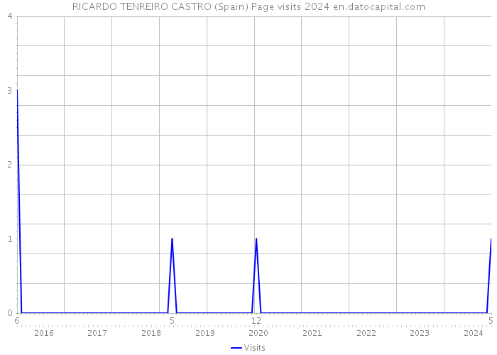 RICARDO TENREIRO CASTRO (Spain) Page visits 2024 